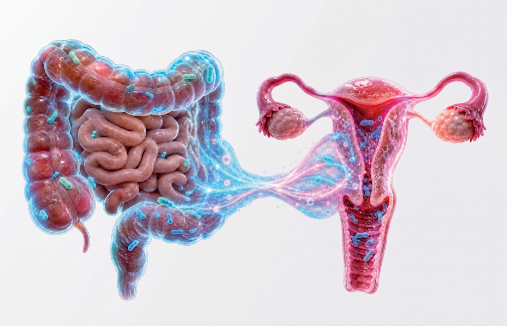 Gráfico del eje intestino-vagina que ilustra la conexión del microbioma en la salud femenina.